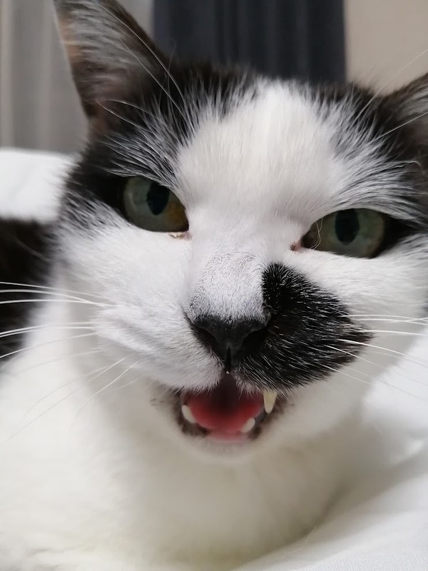 チップ感謝!｡ﾟ･(ﾉД`)人(´Д`)人(Д` )･ﾟ｡