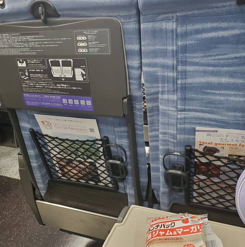 普通の移動で特急つかっちゃう
