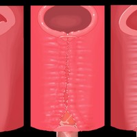 12月・1月の進捗