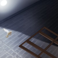 【水曜画像】2025/05/21