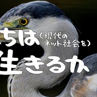 君たちは（現代のネット社会を）どう生きるか：Ci-en版