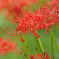 シリアルキラーの憂鬱【小川倫3】