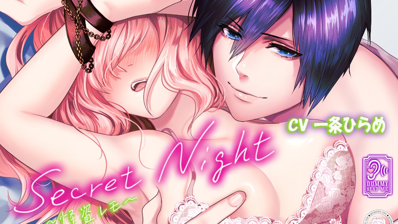 『SecretNight～怪盗レモ～』販売申請しました！