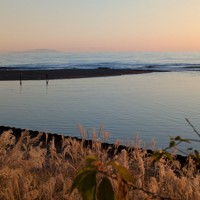 活動報告344回目　【新作告知＆お願い！】　来週より全年齢向けweb小説出します！