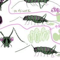 『オーク蟲』進捗③　オーク蟲のデザイン＆設定