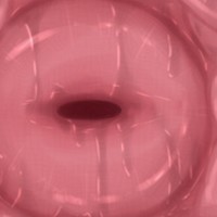 子宮っていいよね…なお話