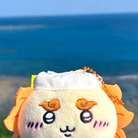 💙...　沖縄　ぬい活　...💙