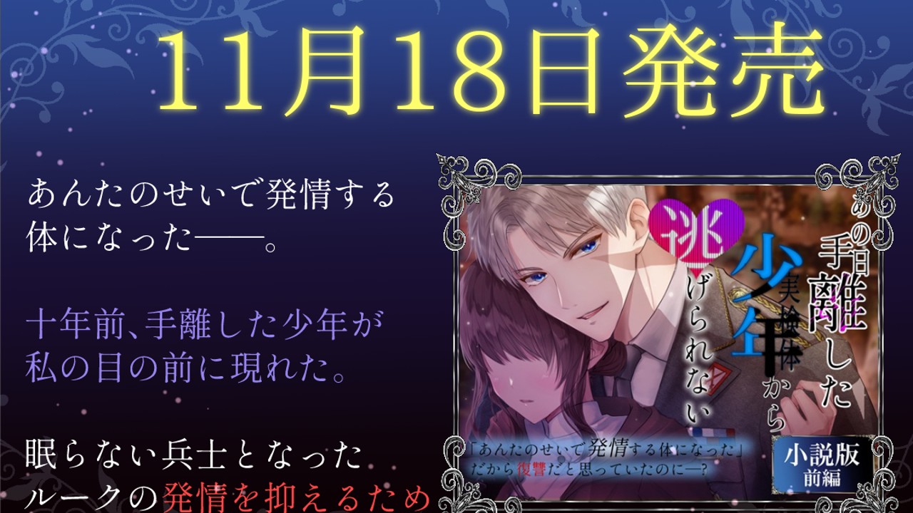 【✨発売日決定✨】小説版あの日手離した少年から逃げられない