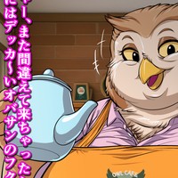 【即落ち2コマ】フクロウカフェのマスター【5枚+】