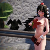 射命丸文の余興