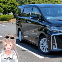 【アルファードに乗ってる人は、なぜ底辺マナーが多いのか？】実際に乗ってみた🤔