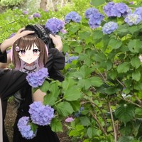 【お友達との】紫陽花オフショット＆ブログ