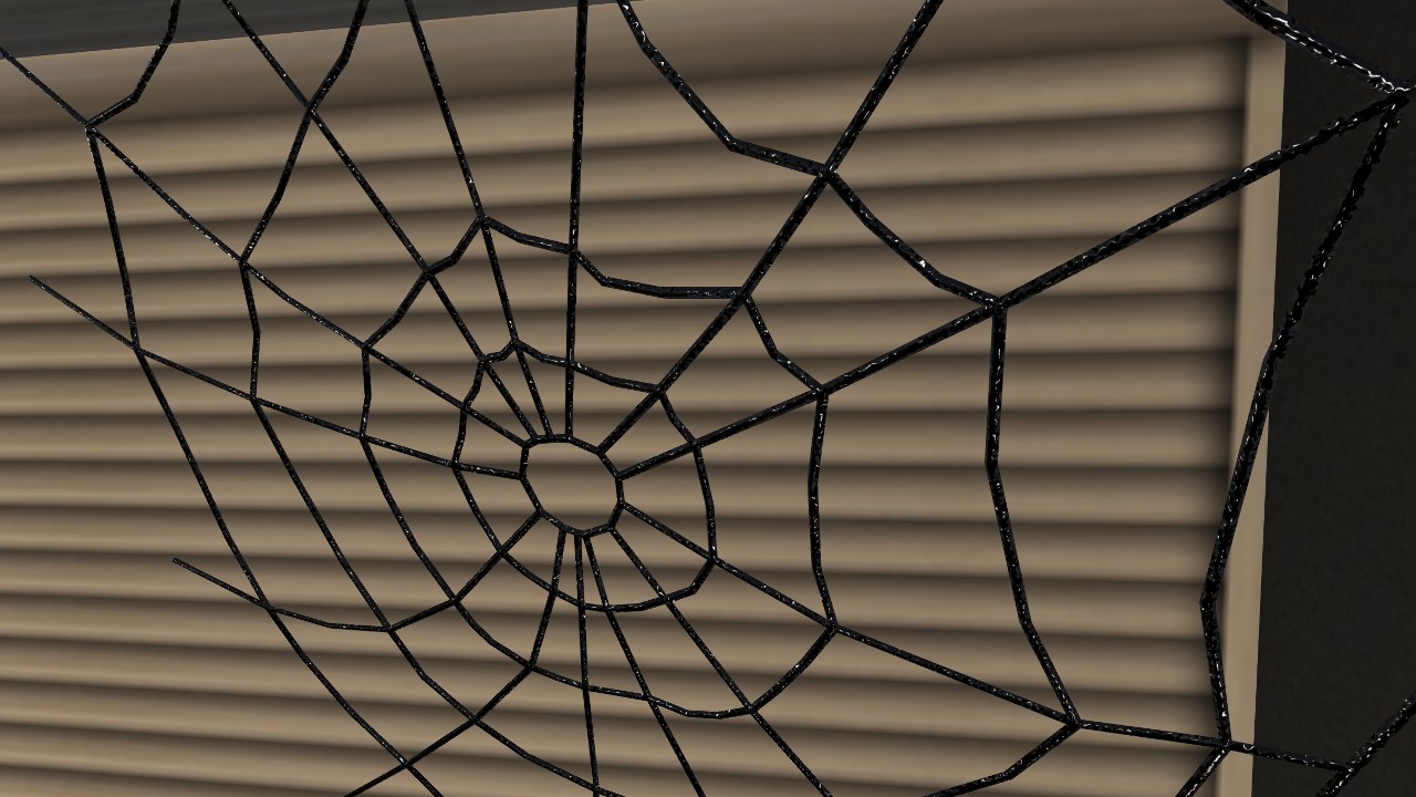 黒い蜘蛛の巣