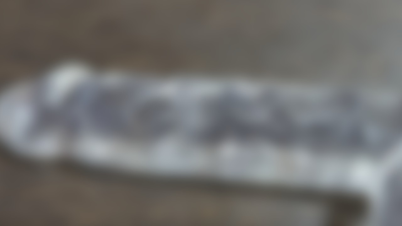 次回作先行サンプル