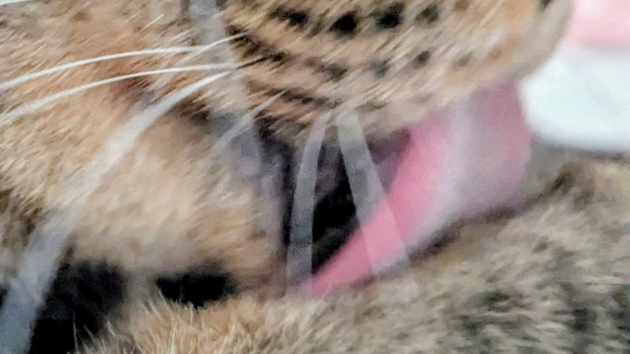 キレ射精