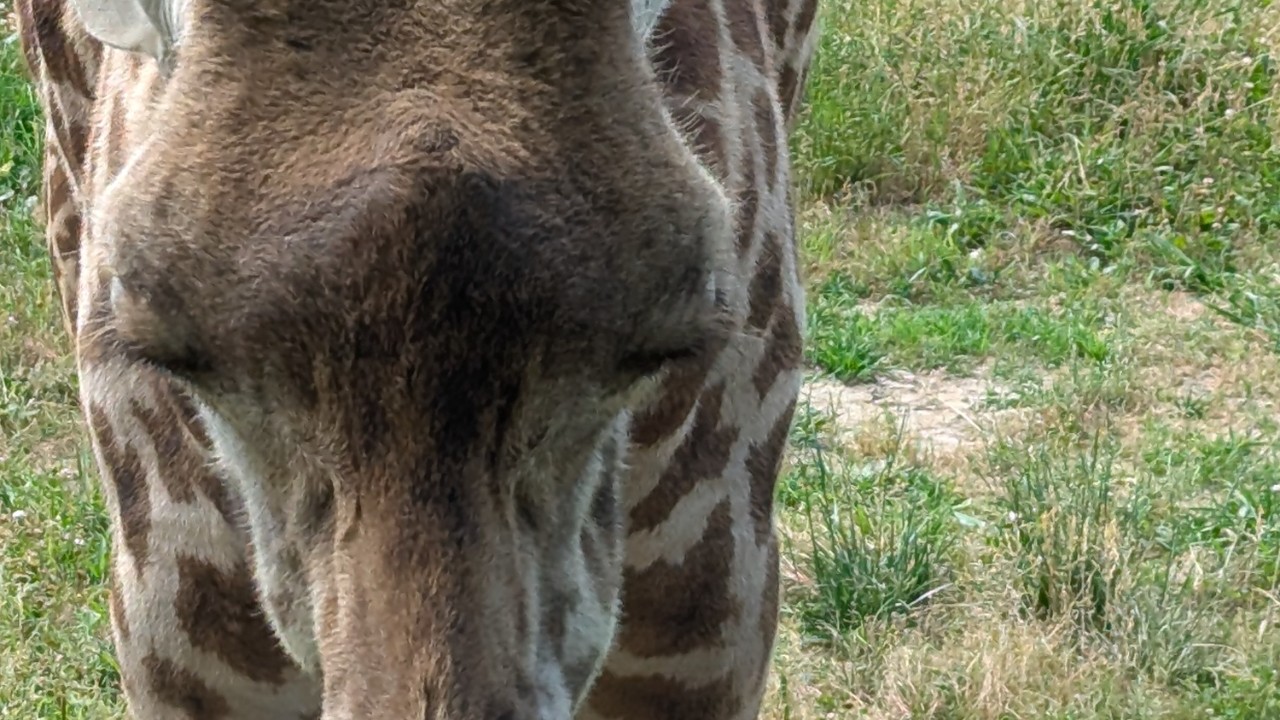 福岡の思い出1&ホテルでちんシコするまえのギンギンちんぽ写真