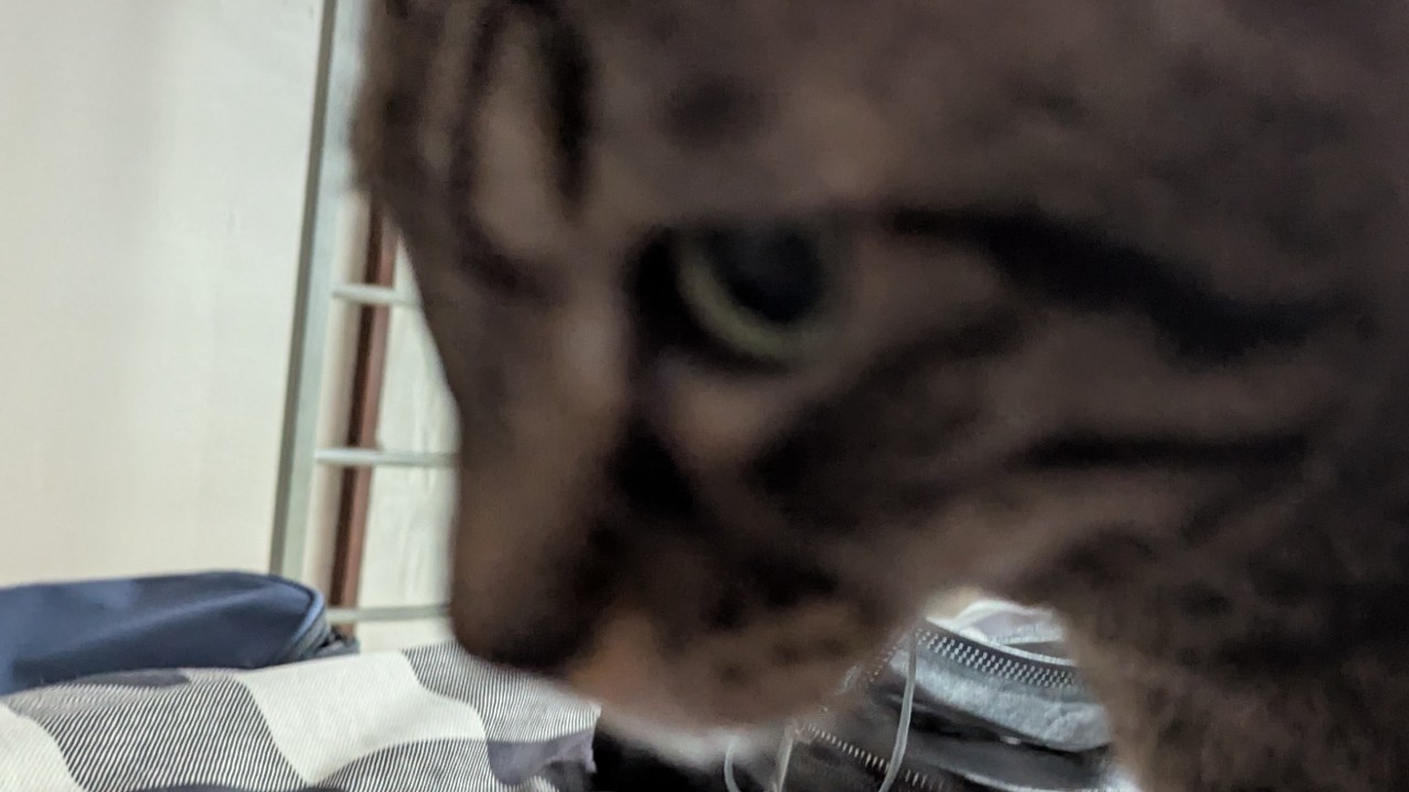 本日23時ぐらいからci-en用音声リクエストとる場所