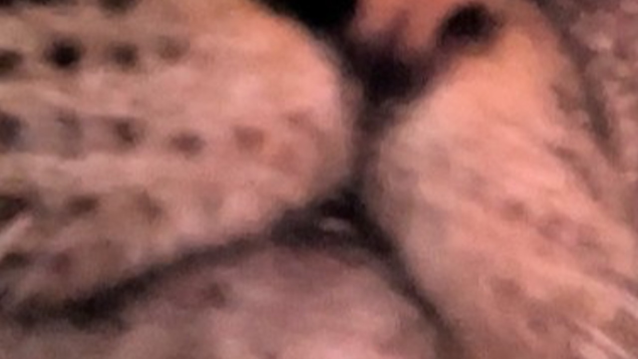 あかぶ