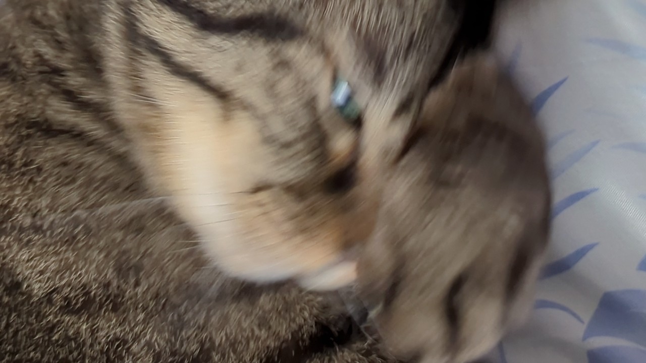 ストーカー変態監禁男