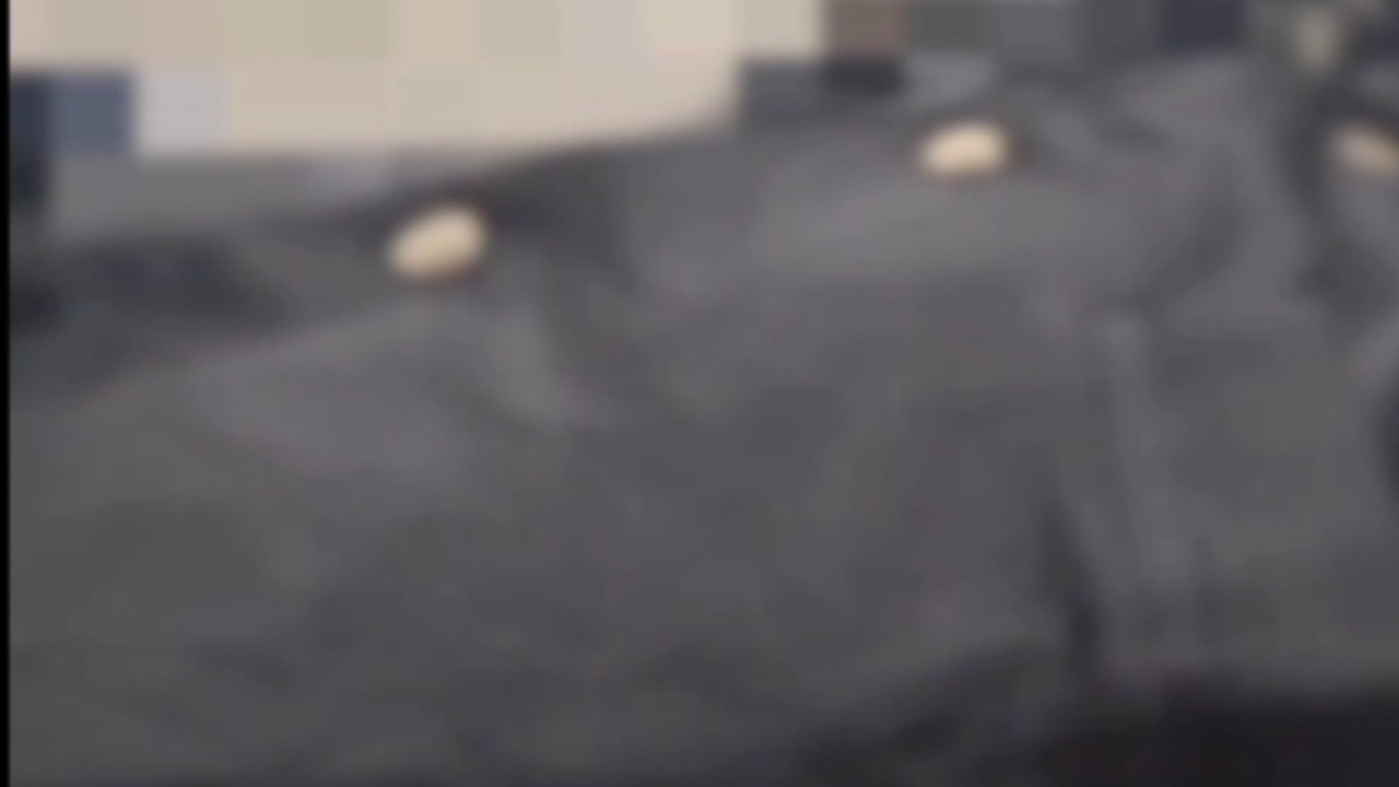 学ランシコ動画ワンコイン販売