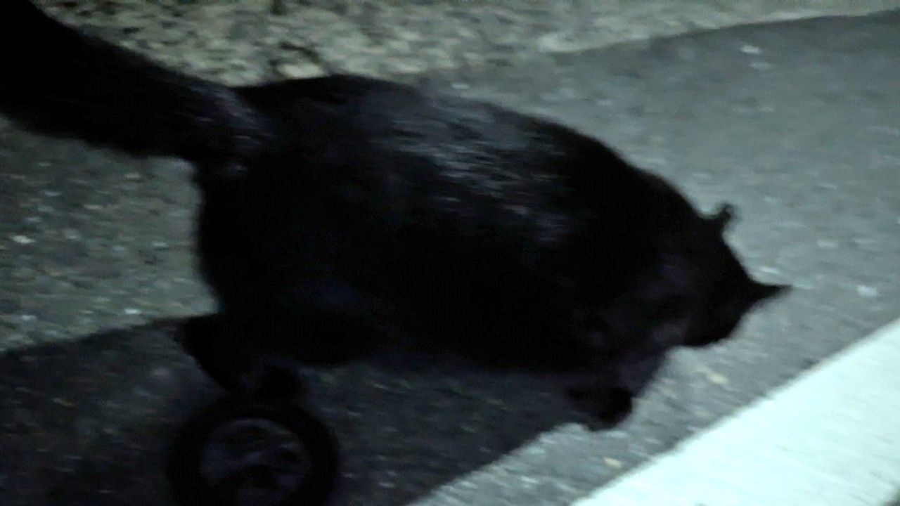 きんろー見終わったあとリクエストシチュオナニー配信予定場所