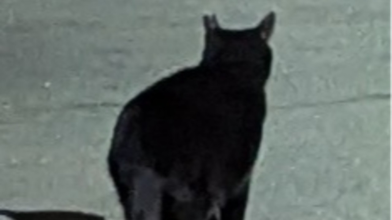 歳上幼なじみと2