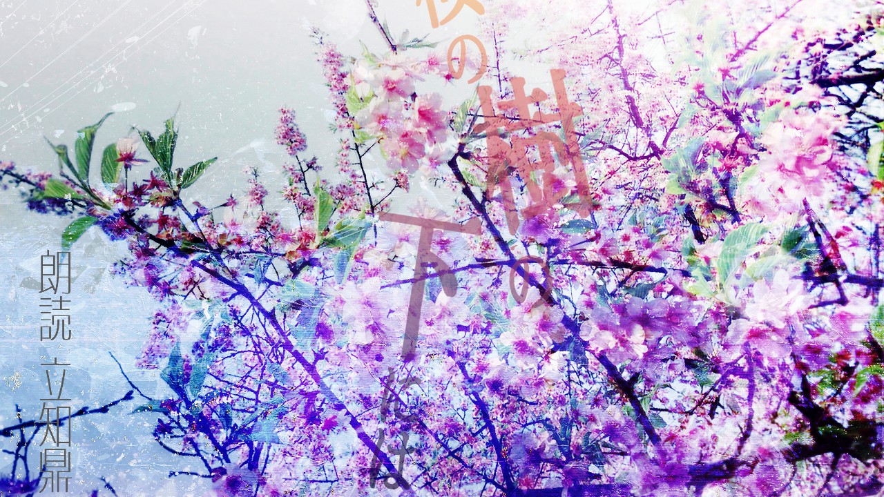 【朗読】『桜の樹の下には』