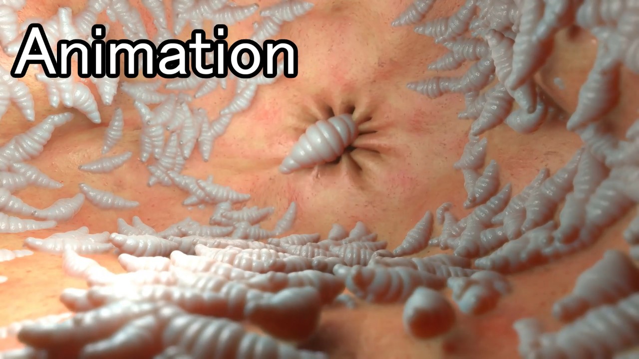 体の外に出たがる幼虫のアニメーション