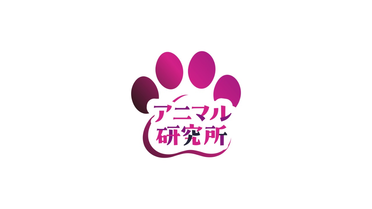 【ご案内】8/10発売「舐め犬ケンヤ君」トラック4の音量調節のお願い【アニマル研究所】