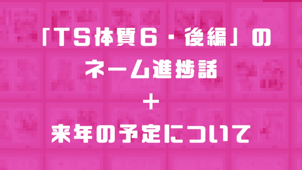 【TS体質６後編ネーム進捗＋来年の予定】