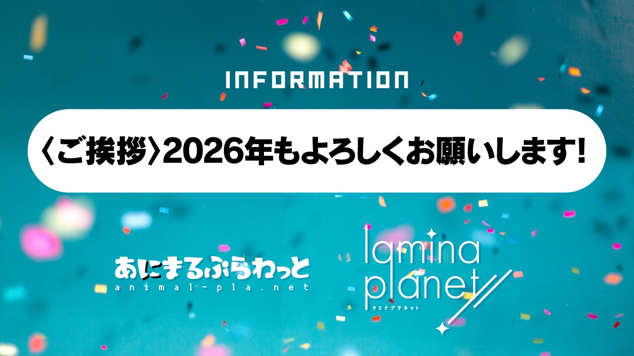〈ご挨拶〉2026年もよろしくお願いします！