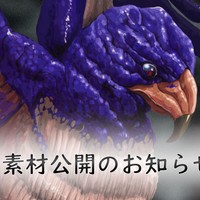【新作告知】鳥獣・合成獣素材　10種
