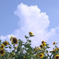 緩々ご休息も出来ます様に…❁⃘*.ﾟ