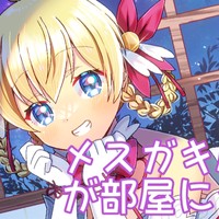 メ○ガキ魔法少女が部屋にやってた