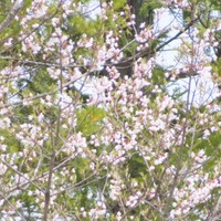 ◎第9回