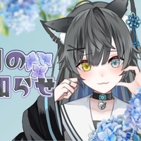 ６月のFCお知らせ ₊ ⊹