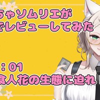【大人のおもちゃ】「食人花」本気でレビューしてみた！