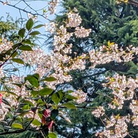 カル鍋参加してきました！