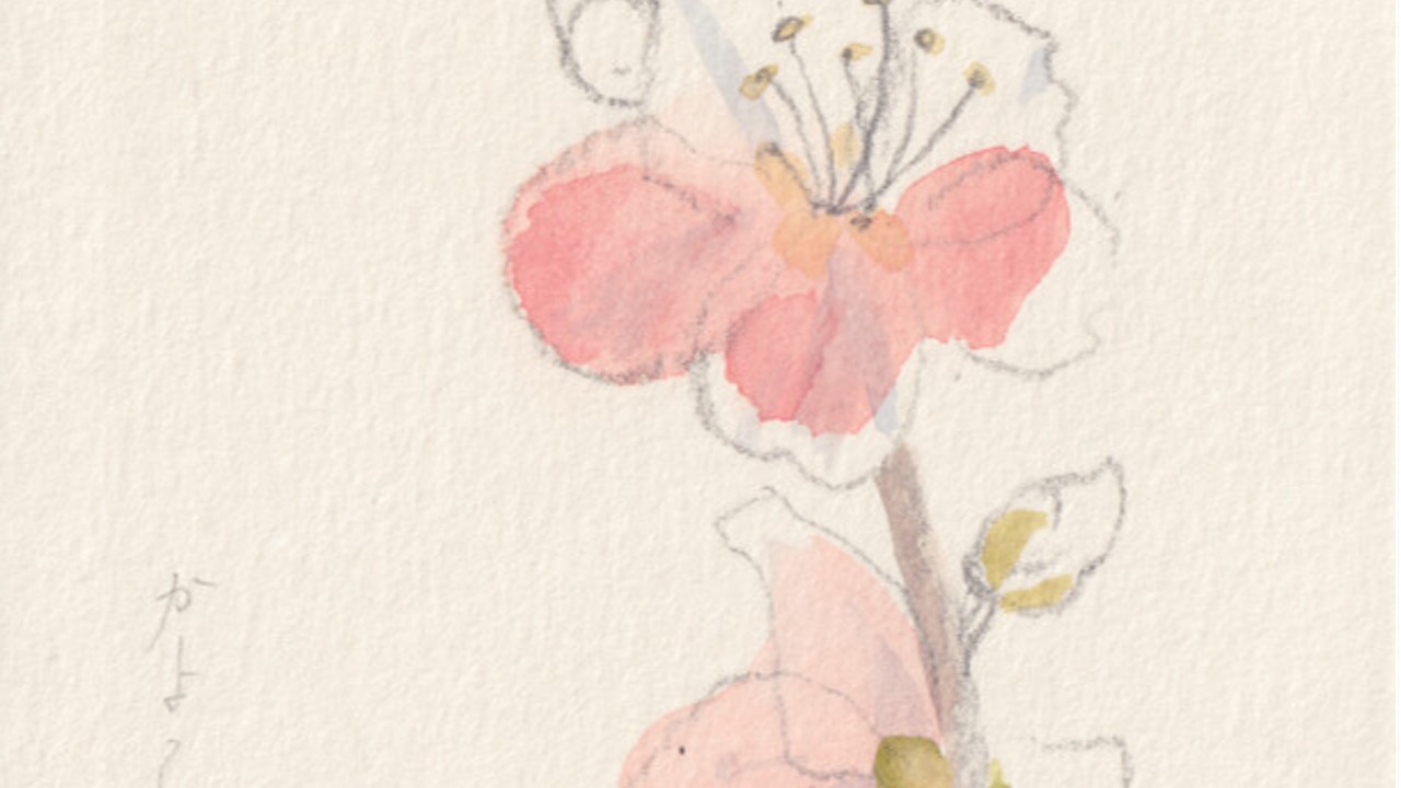 水彩画を描いた、あたらしい梅の花