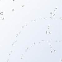 Ｕｎｉｔｙの勉強から…