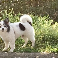 相変わらず喉の調子が悪いですが