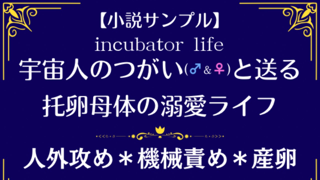 【小説サンプル】incubator life〜宇宙人のつがい(♂＆♀)と送る、托卵母体の溺愛ライフ〜