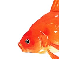[26] Goldfish