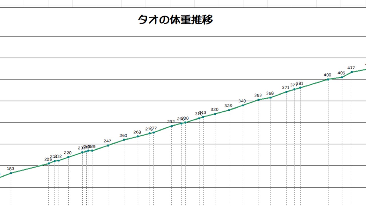 タオの体重推移 (2024/4/4更新)