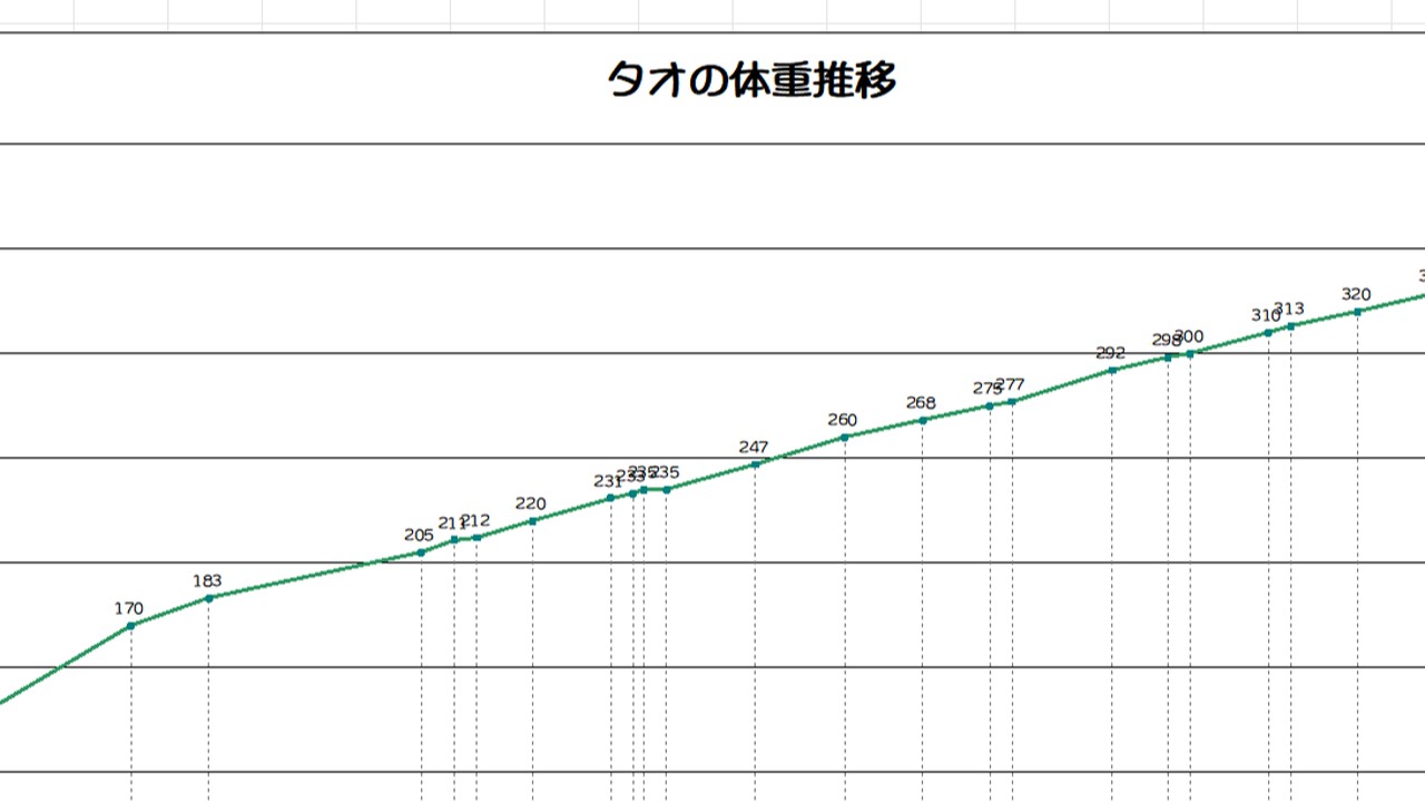 タオの体重推移 (2024/2/4更新)