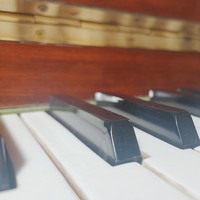 竹藪プラン　五月分ピアノソロ