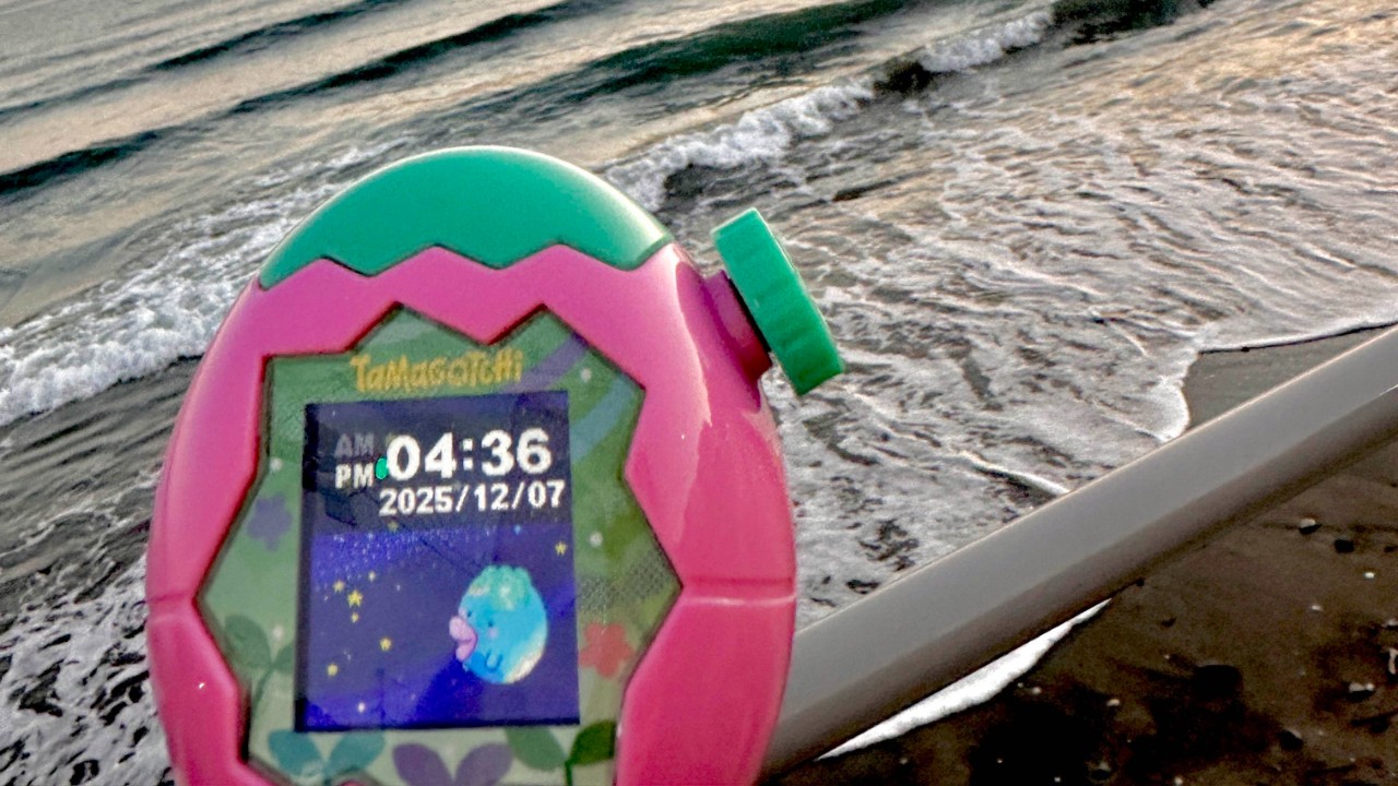 ぼくのこと追いかけてみる？