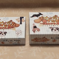 22.ぱぴぃ☆すたあずの外箱も完成！