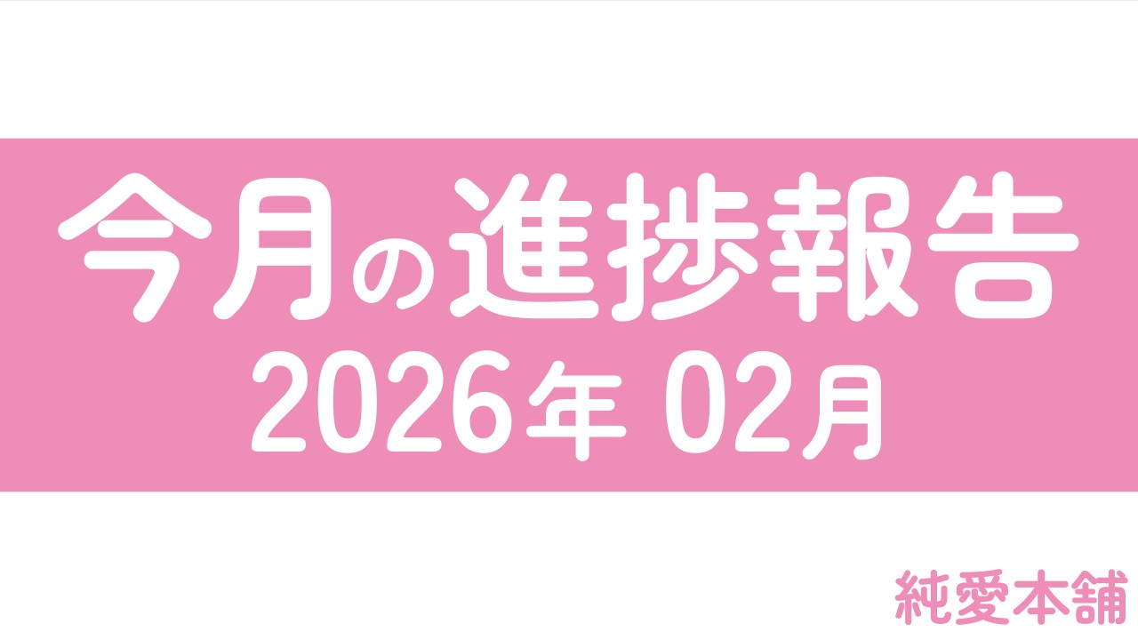 2月の進捗報告