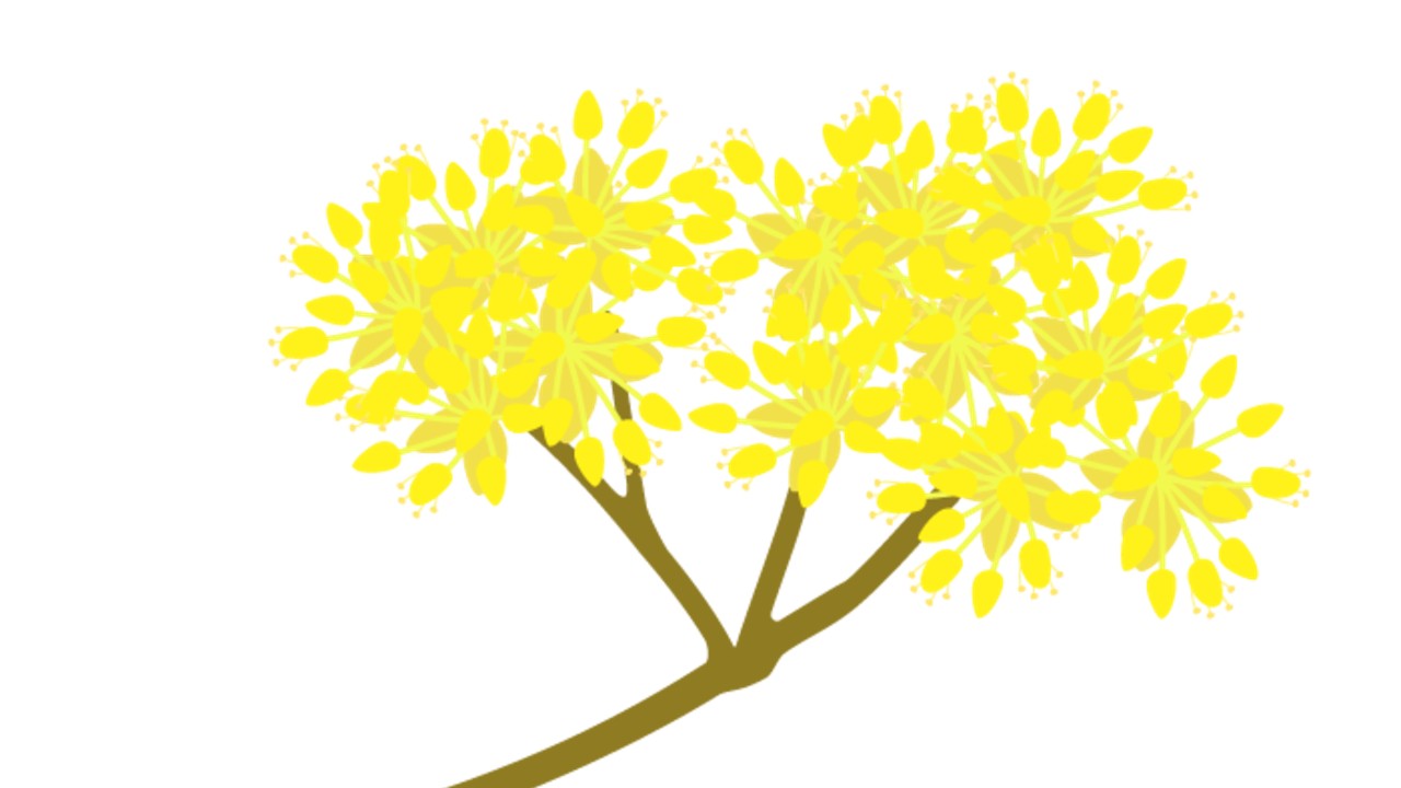 【次回作】予告掲載開始のお知らせ